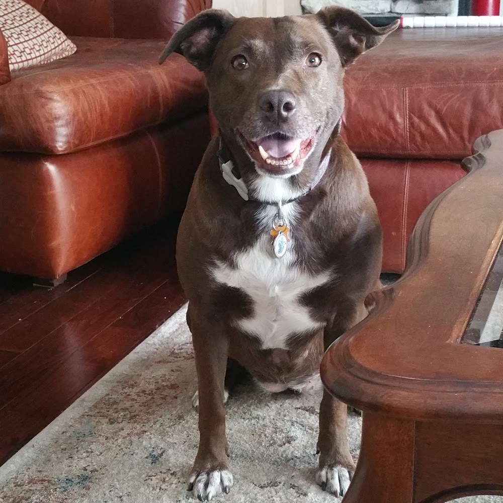 Meet your Posher, Kendall